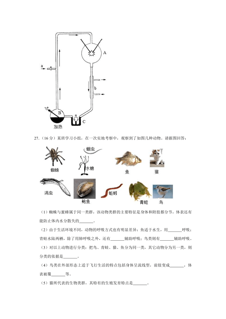 2020-2021学年安徽省滁州市全椒县八年级（上）期中生物试卷 （word版含解析）