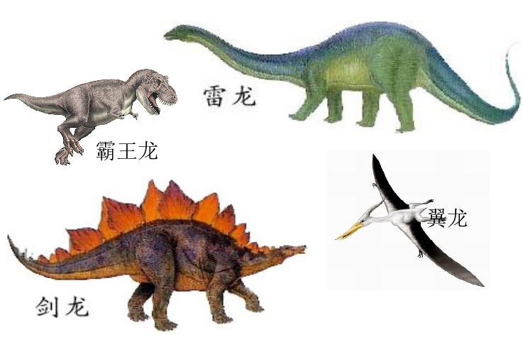 四年级下册美术课外班课件-11 恐龙的世界-全国通用（12张幻灯片）