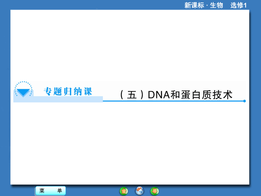 【课堂新坐标，同步备课参考】2013-2014学年高中生物（人教版）选修1课件：专题归纳课5专题5《DNA和蛋白质技术》（共35张PPT）