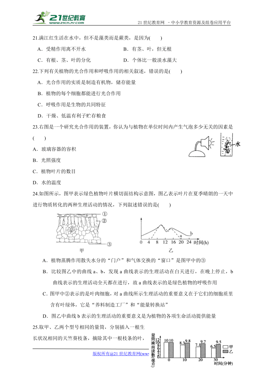 第二单元  第一章生物圈中的绿色植物 综合能力检测卷（含答案）