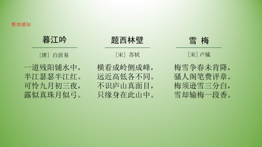 课件预览