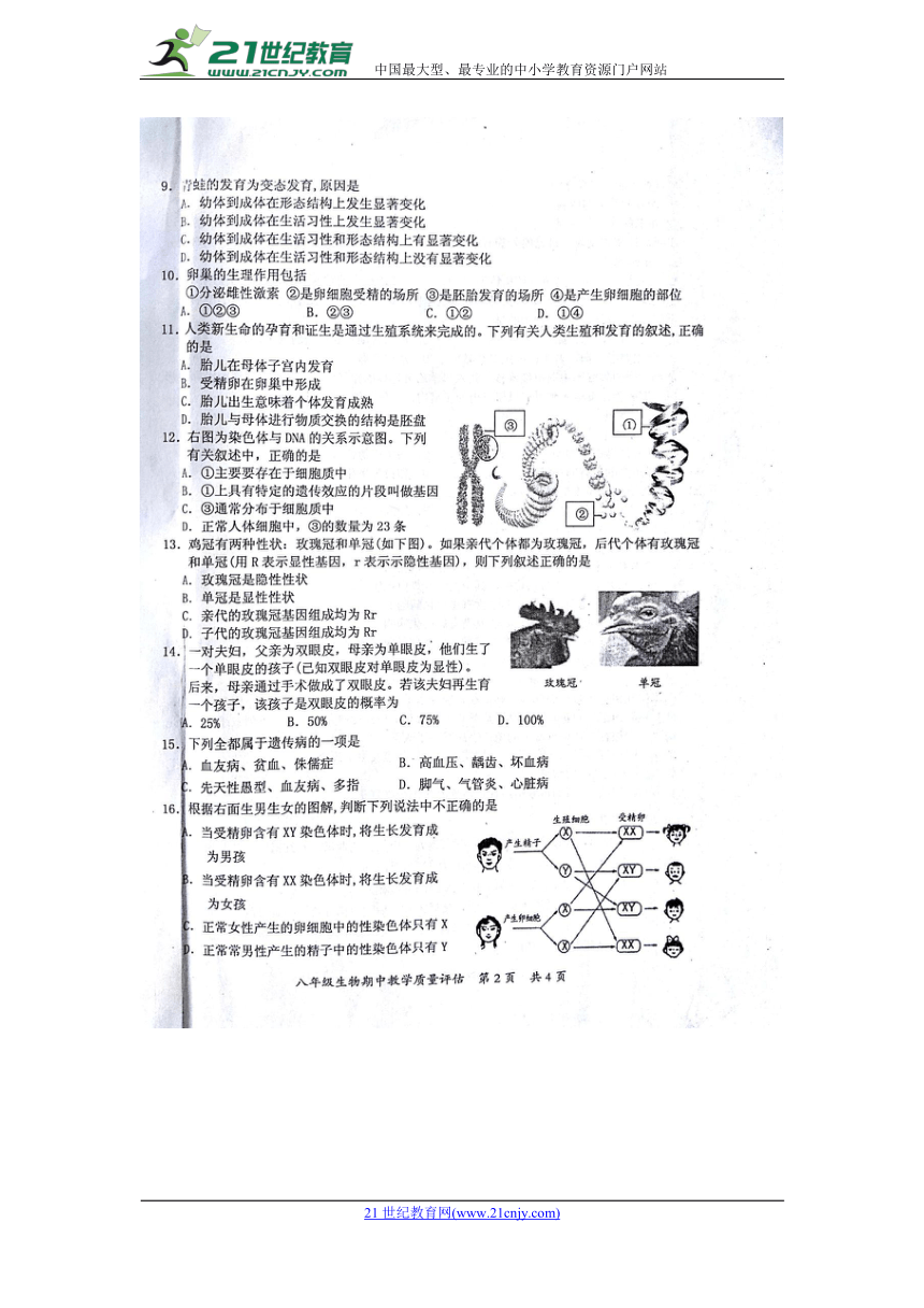 广西防城港市2018年春季学期八年级期中教学质量评估生物试题（扫描版，含答案）