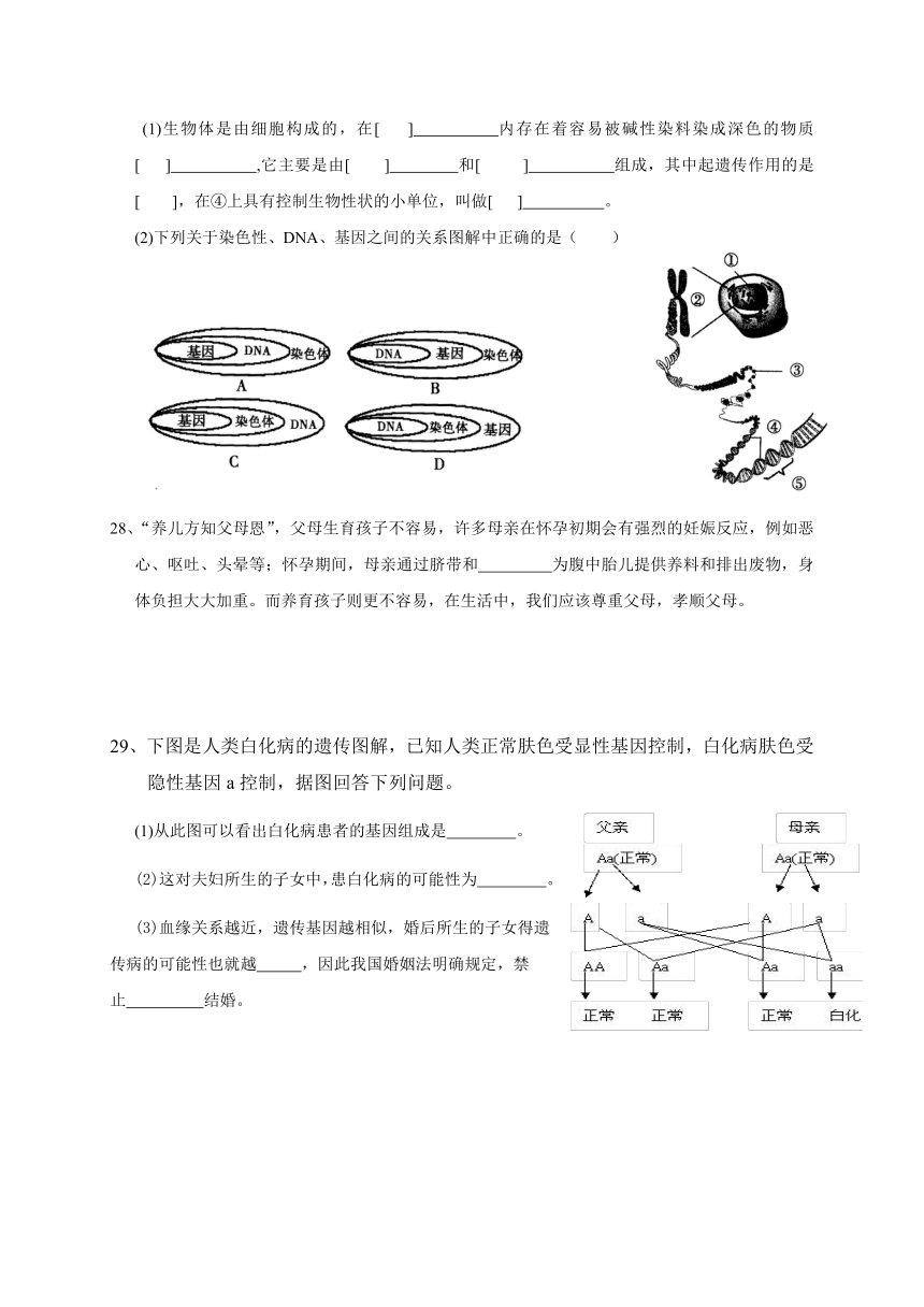 福建省莆田市第二十五中学2017-2018学年八年级下学期第一次月考生物试题（Word版，含答案）