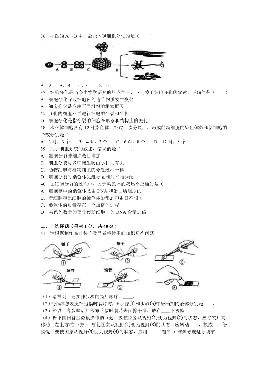 云南省红河州个旧二中2016-2017学年七年级（上）期中生物试卷（解析版）