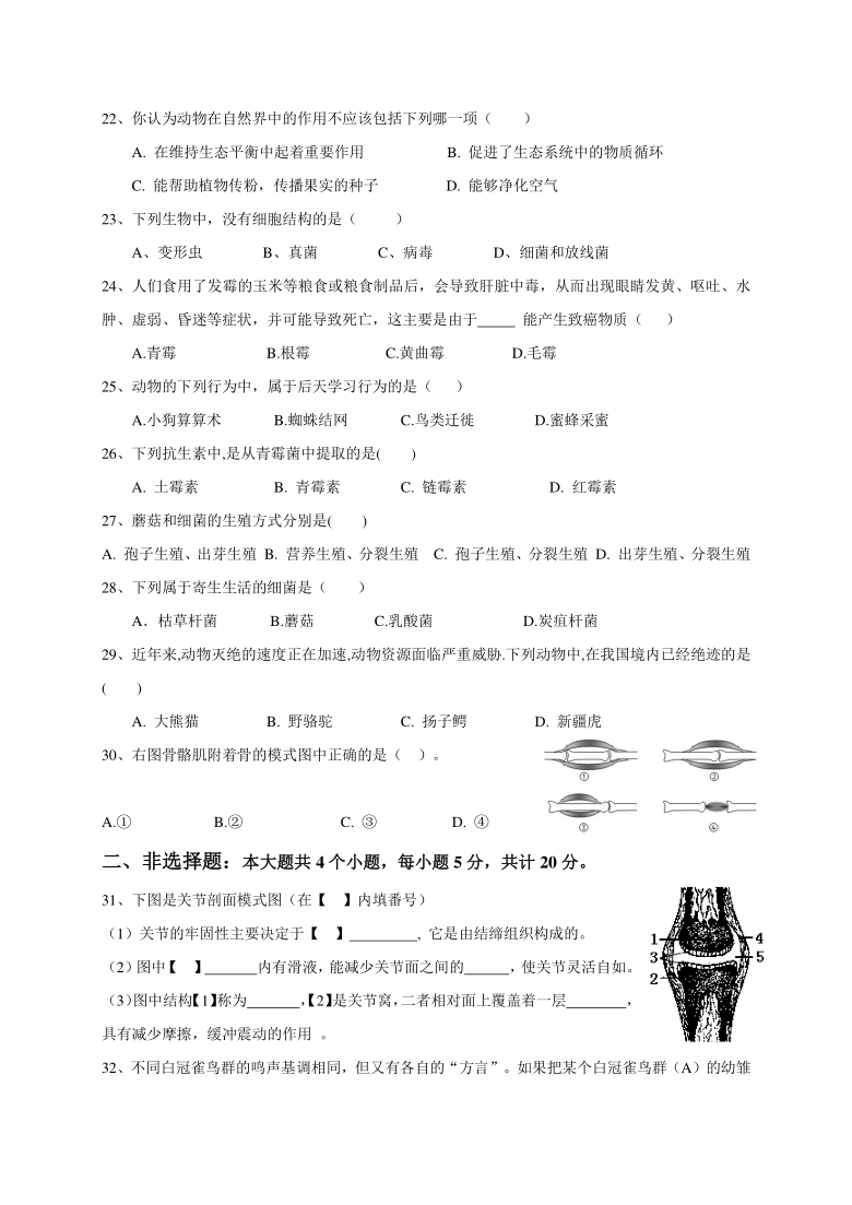 重庆市万州第三中学2020-2021学年八年级上学期期中考试生物试卷（PDF版含答案）