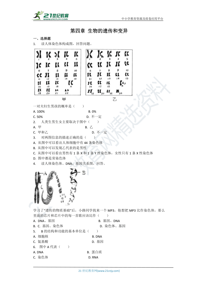 第四章生物的遗传和变异章节检测（含解析）