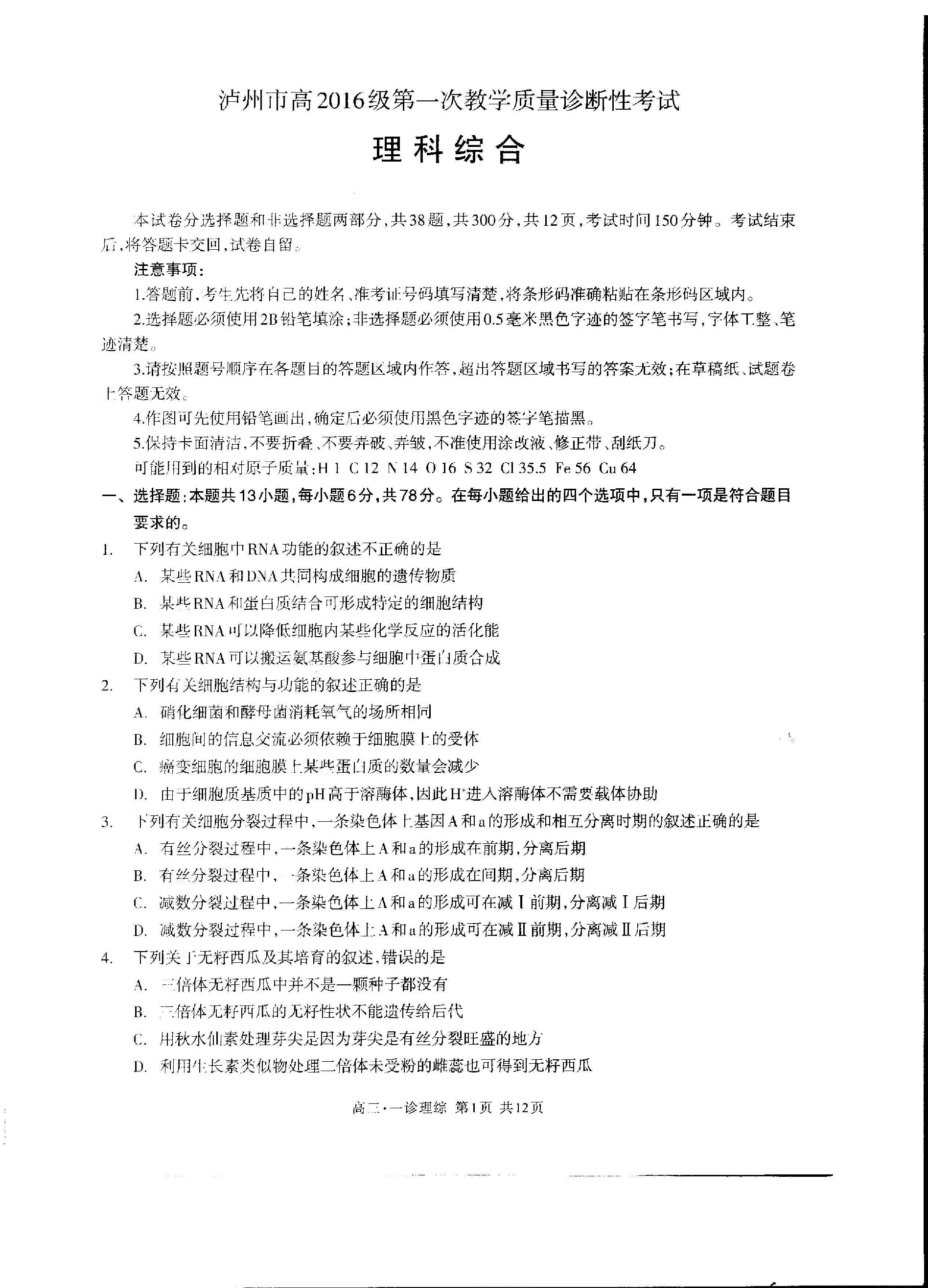 四川省泸州市2019届高三上学期第一次教学质量诊断性考试 理科综合（PDF版）