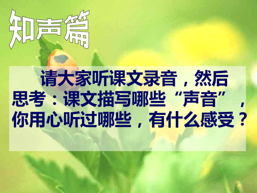 你一定会听见的 课件