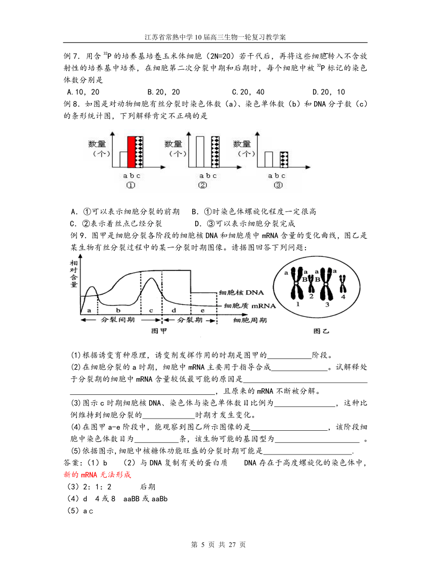 细胞增殖与细胞的生命历程