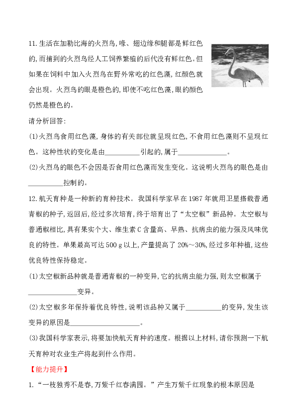 4.4.4 生物的变异 课时达标检测（解析版）