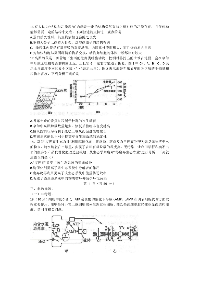 河北省衡水中学2021届高三5月份第3次调研生物试题    含答案