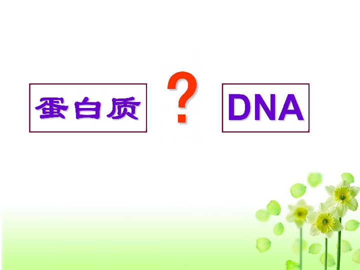 人教版高中生物必修二第3章第1节 DNA是主要的遗传物质 课件 共28张PPT