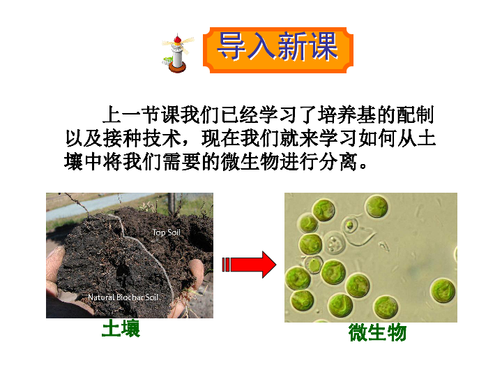 人教版高中生物选修1 专题2 课题2 土壤中分离尿素的细菌的分离与计数 上课课件（共44张ppt）