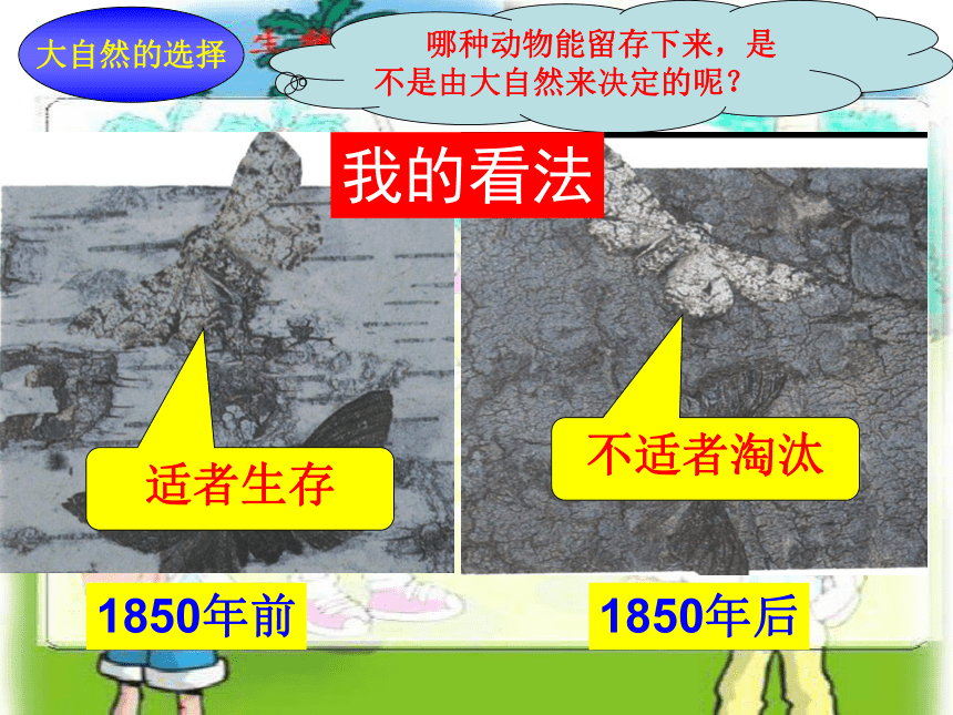 科学六年级上粤教版3.9进化中的生物课件（39张）1