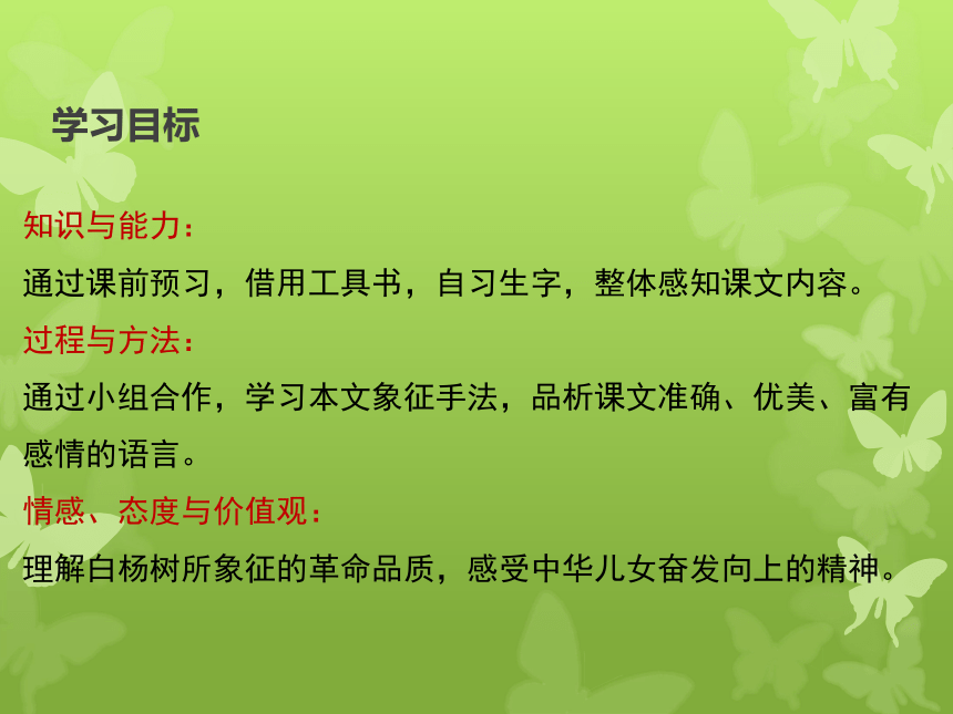 15《白杨礼赞》课件（25张PPT)