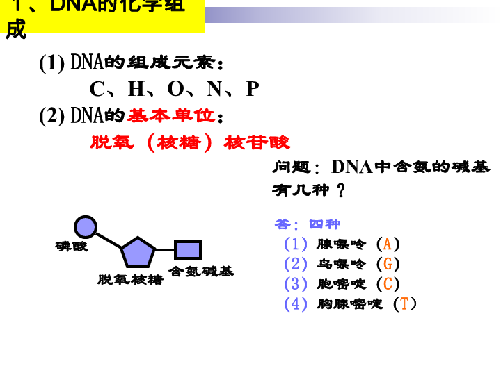 人教版高一生物必修二第3章第2、3节DNA分子结构和DNA复制复习课件 共64张PPT
