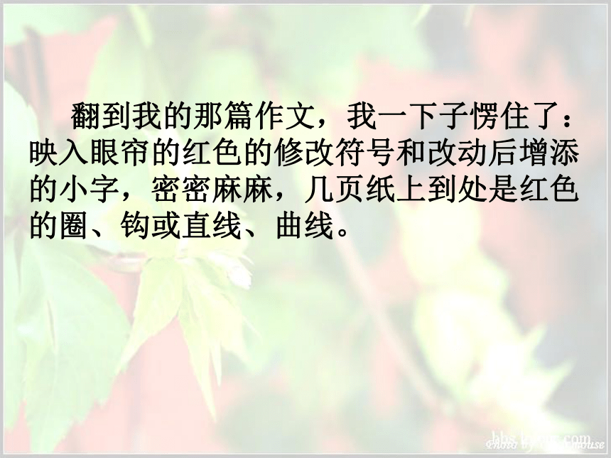 《那片绿绿的爬山虎》课件  (共36张PPT)