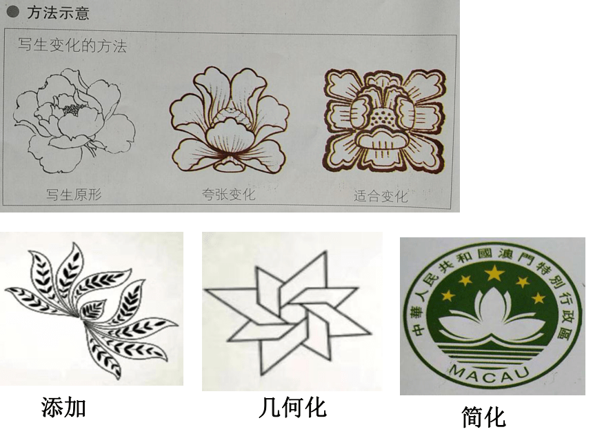 初一美术第五课图片图片