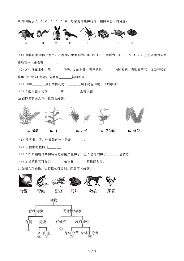 第14章-生物的命名和分类-单元测试(含答案)