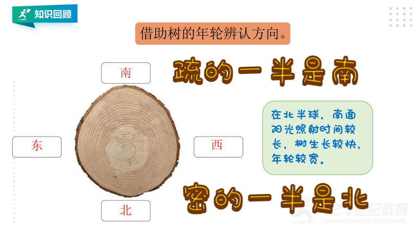 北师大版二年级数学下册第二单元位置与方向复习课课件共29张ppt