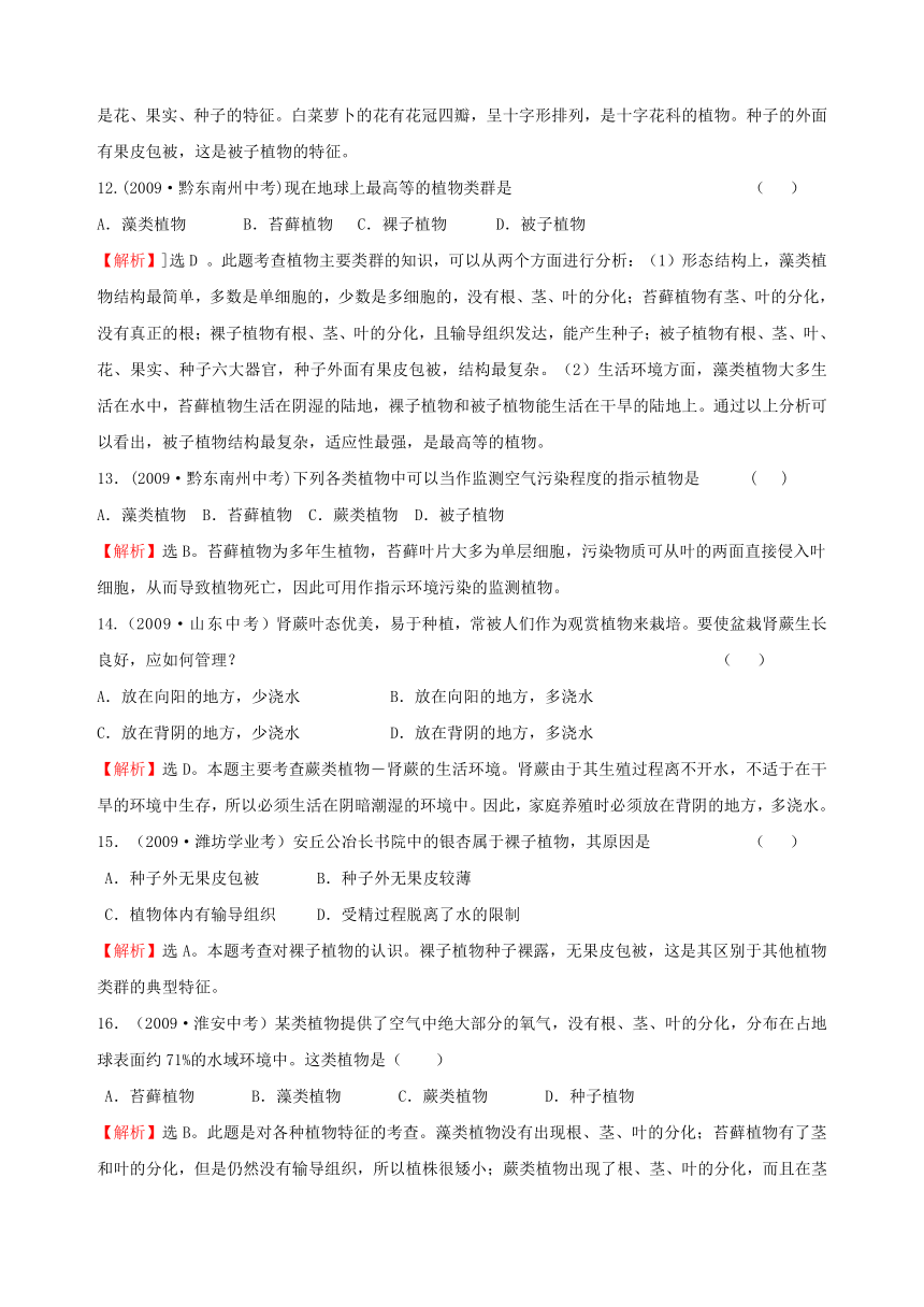 2008-2011全国各地中考生物分类详解中考题库四 生物圈中的绿色植物