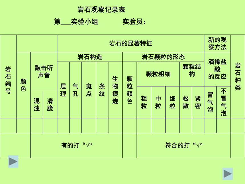 认识几种常见的岩石