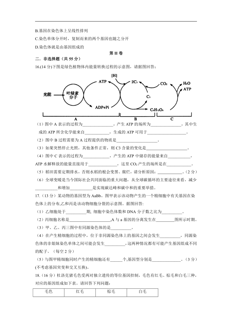 西藏拉萨那曲市高中2020-2021学年高一下学期期末考试生物试题 Word版含答案