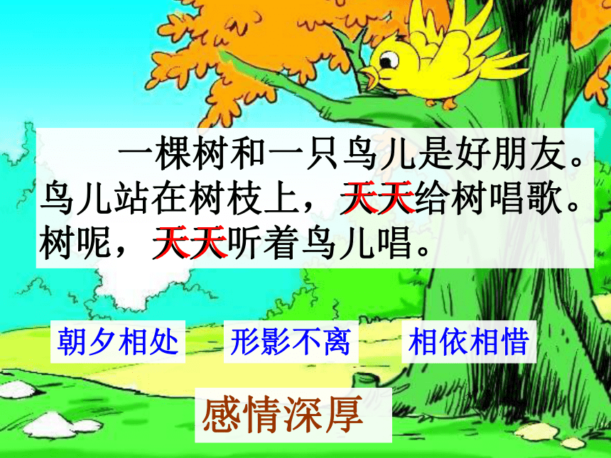 去年的树  课件