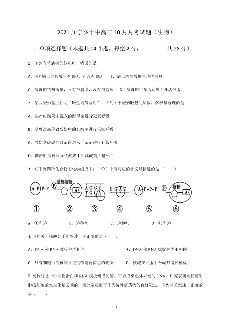 湖南省长沙市宁乡十中2021届高三10月月考生物试题