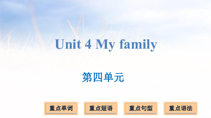 Unit 4 My family 复习课件(13张PPT)