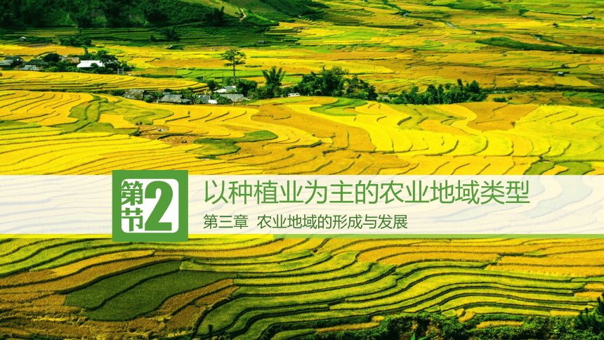 人教版地理必修二3.2 以种植业为主的农业地域类型 课件