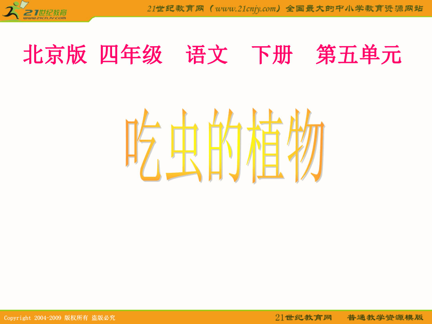 四年级语文下册课件 吃虫的植物1（北京版）