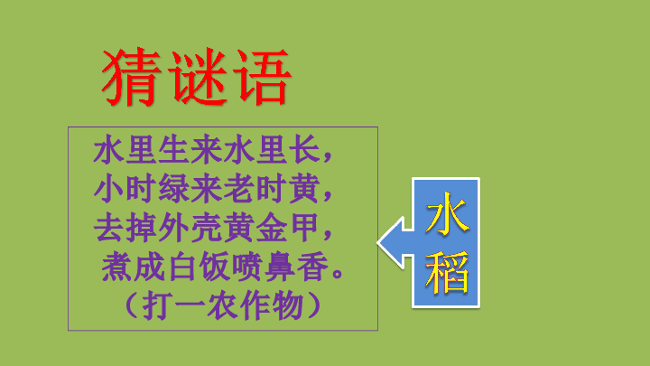 三年级上册综合实践活动课件- 来之不易的粮食  皖教版  (共25张PPT)