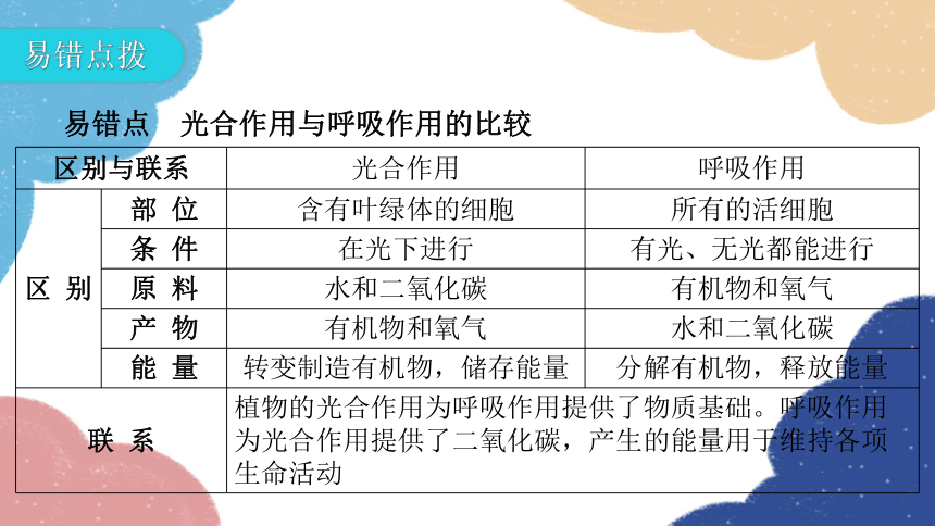 碳氧平衡思维导图图片