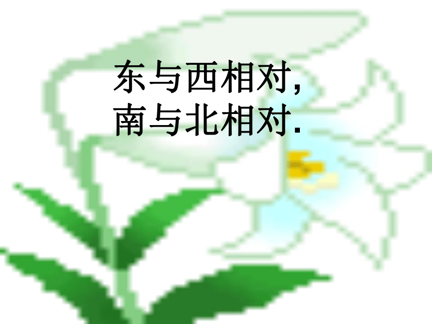 认识东南西北[下学期]