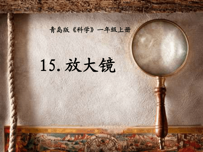 15课放大镜 课件（11张PPT）