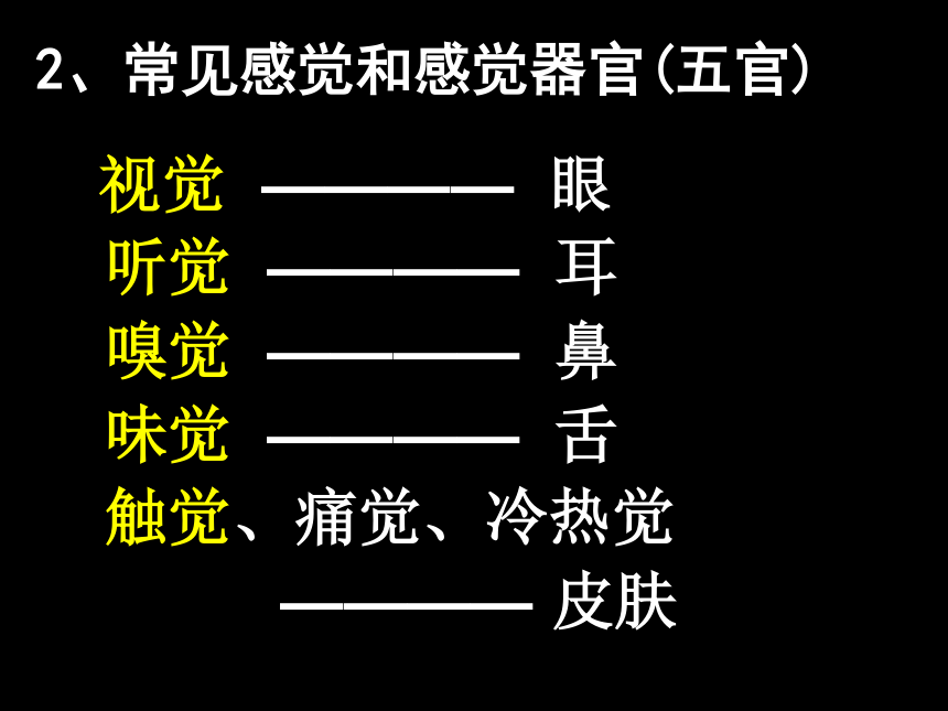 2.1感觉世界