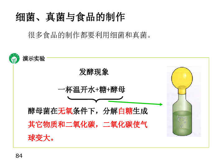 《人类对细菌和真菌的利用》课件 (共30张PPT)