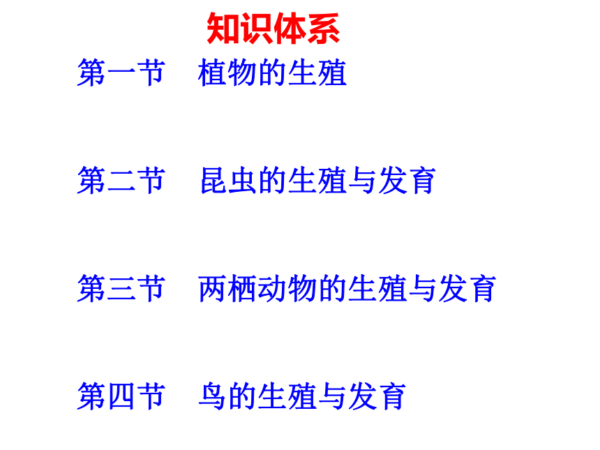 八年级下册生物第一章生物的生殖和发育 复习课件（共30张ppt）