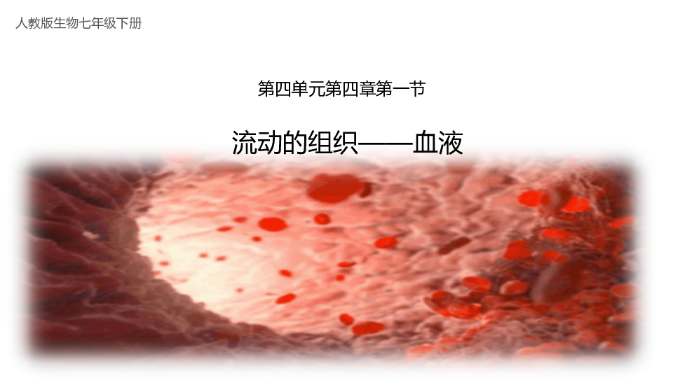 4.4.1流动的组织-血液(共27张PPT)