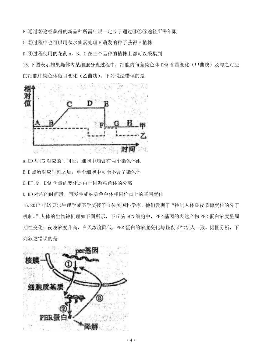 四川省德阳市2018届高三一诊考试 生物