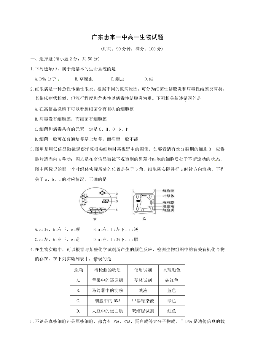 广东省揭阳市惠来县第一中学2016-2017学年高一上学期期末考试生物试题