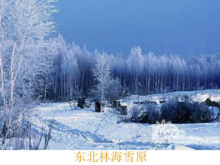 林海雪原ppt文字照片图片