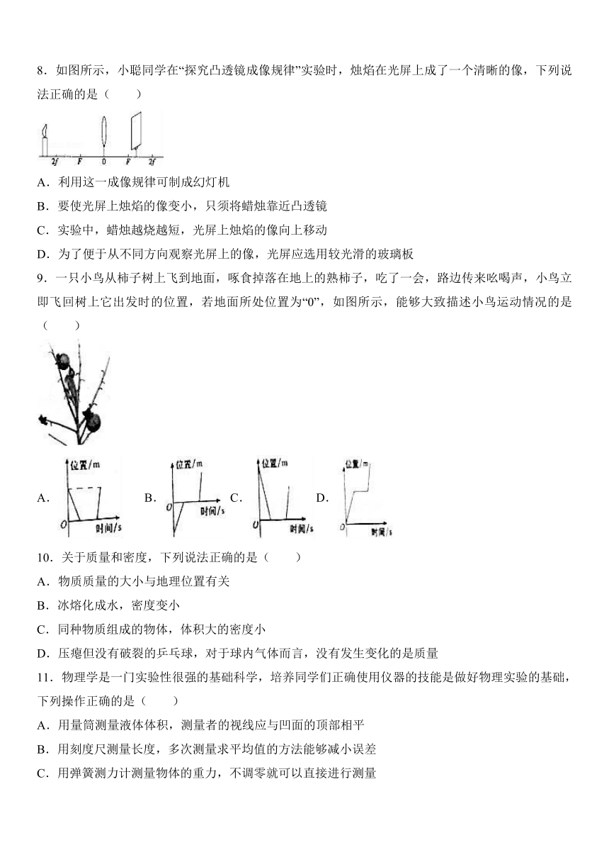 山东省临沂市罗庄区2016-2017学年八年级（上）期末物理试卷（解析版）