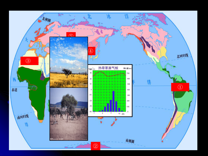 人教版七上第三章第四节世界的气候（共37张ppt）