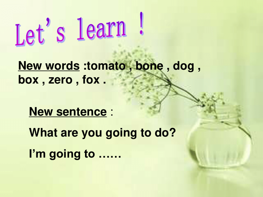 Unit 1 What are you going to do Lesson 4 课件  (共18张PPT)