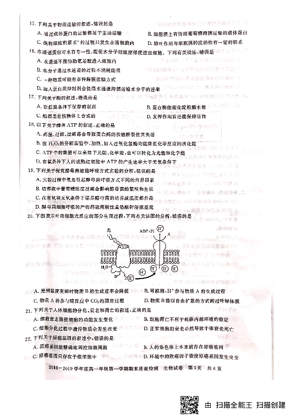 湖北省仙桃、天门、潜江市2018-2019学年高一上学期期末考试生物试题 PDF版