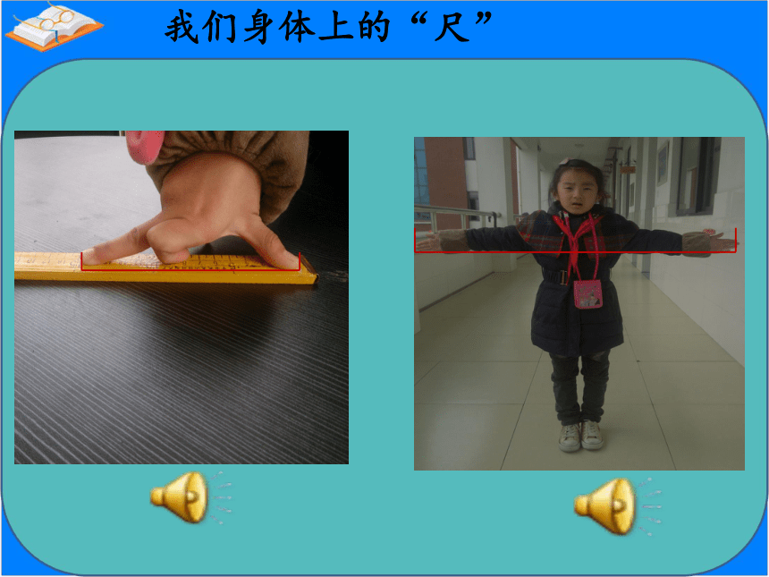 苏教版小学数学二年级上册 ● 我们身体上的尺