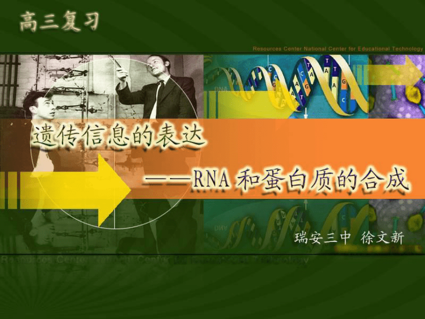 2010年浙江省高中生物课堂教学评比课件 遗传信息的表达—RNA和蛋白质的合成（徐文新 ）