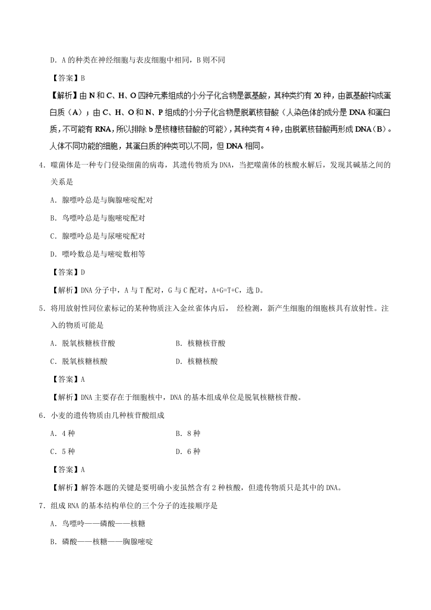 专题2.3遗传信息的携带者——核酸-课时同步2018-2019学年高一生物人教版必修1